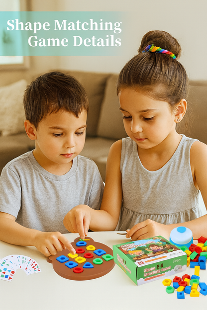 Geometric Shape and Color Matching Puzzle