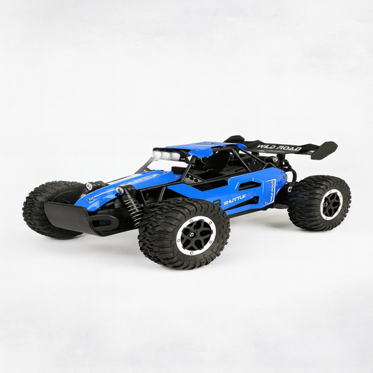 Expert level Alloy Remote control car